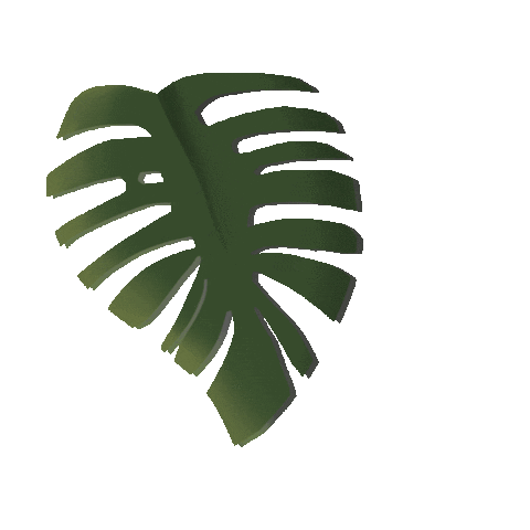 Plant Tree Sticker