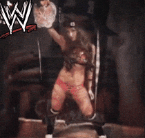 Wwe GIF