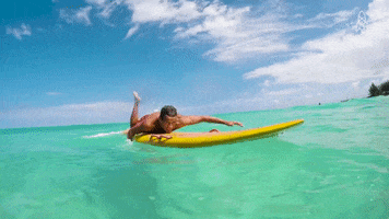 let's go swimming GIF by Great Big Story