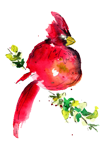 Red Bird Christmas Sticker by Beautigurlz