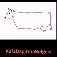 Cow Inek GIF