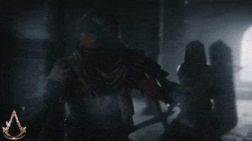 Block Fighting GIF by Assassin's Creed