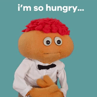 Hungry-cat-misjudges-jump GIFs - Get the best GIF on GIPHY