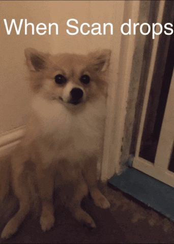 Dog GIF