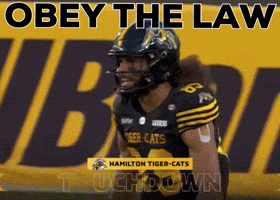 Obey Tiger-Cats GIF