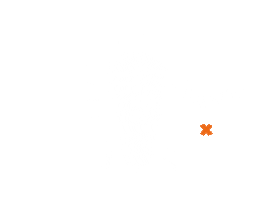 Sport Fitness Sticker by FitX