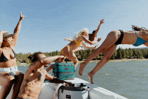 Fun Summer GIF by Igloo Products Corp.