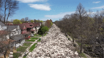 Oxford Street Downtown GIF by Rochester Institute of Technology