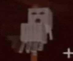 Minecraft Head GIF