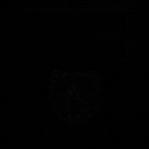 Tsc GIF by Toronto Ski Club