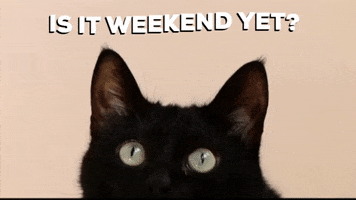 Ready For The Weekend Friday GIF by Squirrel Monkey