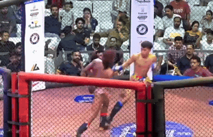 Knockout Mma GIF