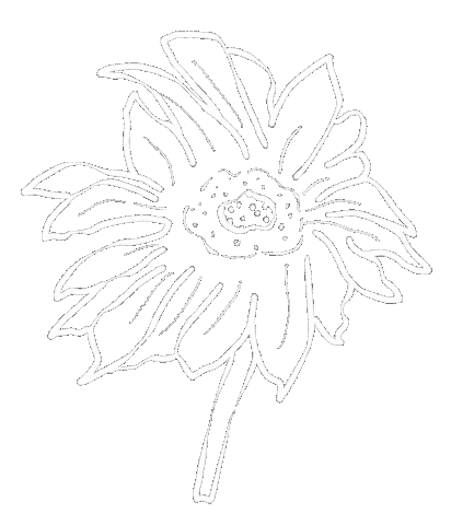 花 Black And White Sticker
