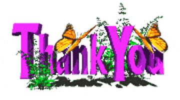 Text gif. Two orange butterflies flutter their wings above pink text. Text, "Thank you."