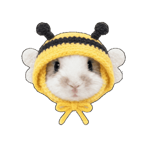 Rabbit うさぎ Sticker