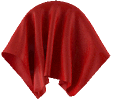 The Face Room Sticker