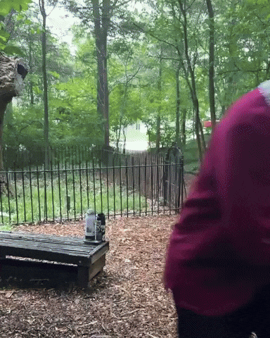 Dungeons And Dragons Dance GIF