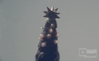 Merry Christmas Party GIF by Texas Archive of the Moving Image
