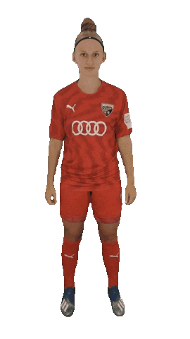 Schanzerinnen Sticker