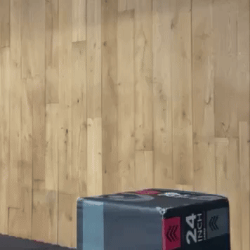 Animated GIF