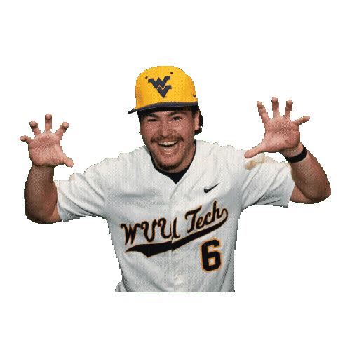 Baseball Sticker by WVU Tech Golden Bears
