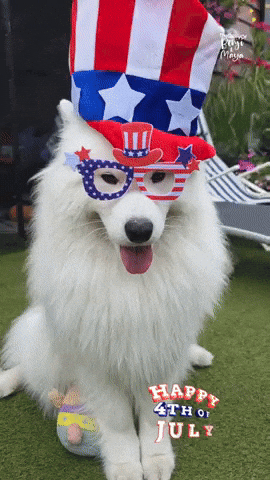 United States Usa GIF