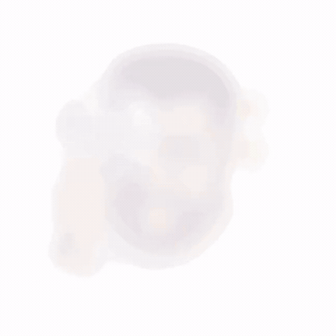 Eyyyoli GIF