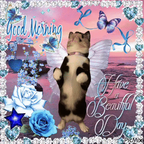 Good Morning GIF