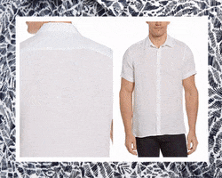 Zafigifeses GIF