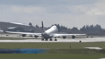 plane takeoff GIF