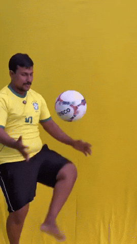 Brazil Meme GIF