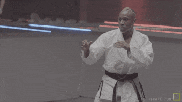 sport GIF by Karate Combat