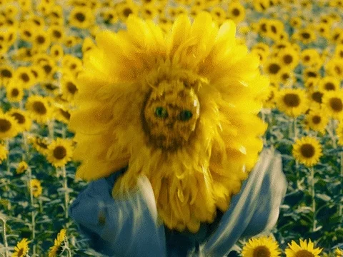 Flower Dancing GIF by Missio