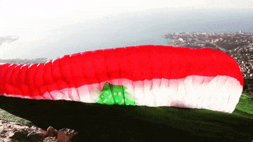 Fly Lebanon GIF