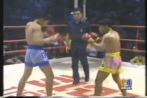 Kongtoranee GIF