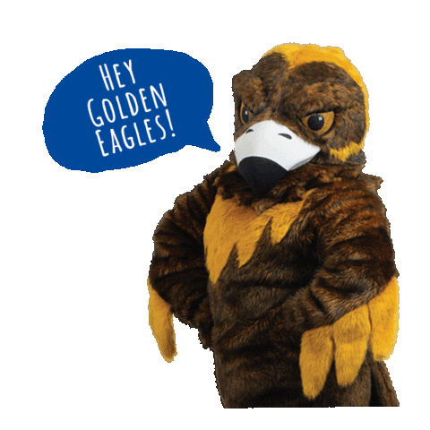 Neiu Neiulife Sticker by Northeastern Illinois University