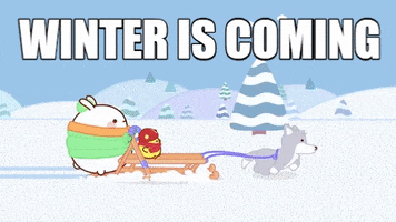 Happy Winter Is Coming GIF by Molang