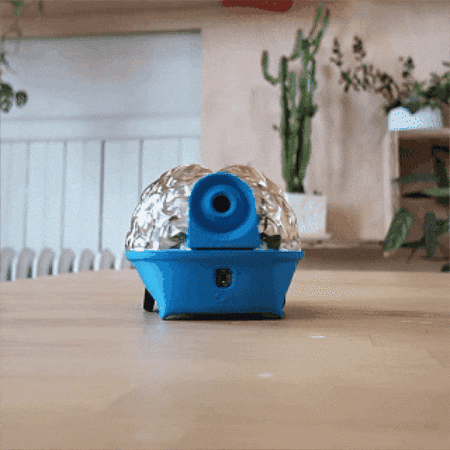 Robot Spin GIF by Backyard Brains