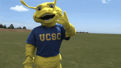 ucsc mascot