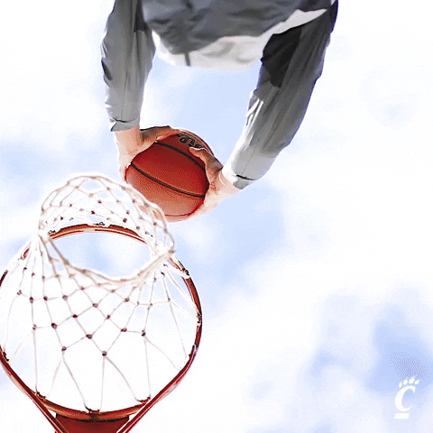 March Madness Reaction GIF by Cincinnati Bearcats