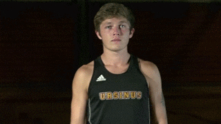 Ursinus Bears GIF
