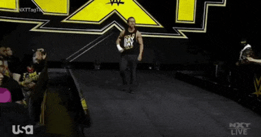 Wwe GIF
