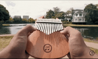 Musicero Warehouse GIF
