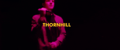 Thornhill meme gif