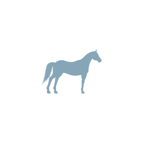 NÜRNBERGER Versicherung Sticker