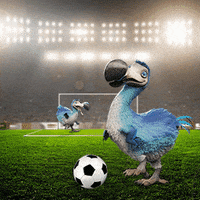 Football Soccer GIF by Dodo Australia
