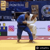 Montreal GIF by Judo Canada