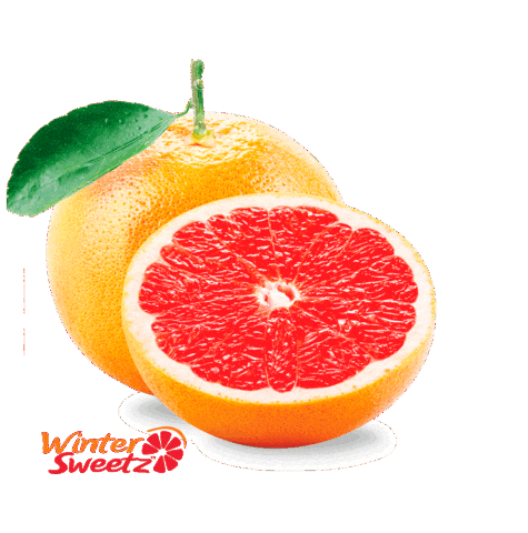 Citrus Grapefruit Sticker by Winter Sweetz