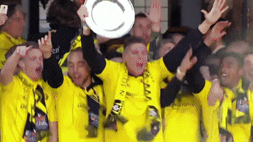 Omroep Venlo GIF
