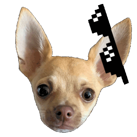 giphy.gif?cid=6c09b952jpv6ud3982ea0vq1h3